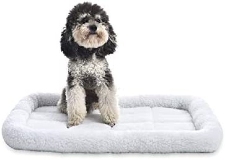 Amazon Basics 29-Inch Padded Pet Bolster Bed, White, 29.13″L x 18.9″W x 2.76″H