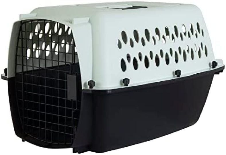 Petmate Pet Porter Fashion Dog Kennel 24″, Pale Aqua & Black, for Pets 15-20lbs