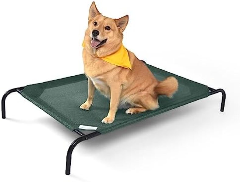 Coolaroo The Original Cooling Elevated Dog Bed, Indoor and Outdoor, Large, Brunswick Green